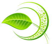 Best professional Green Cleaner Green Cleaning Services